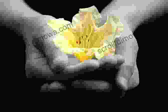 A Close Up Of A Person's Hands Holding A Delicate Flower, Symbolizing Vulnerability. My Life Your Life: When I Look At Mine I See Yours (Our Live 1)