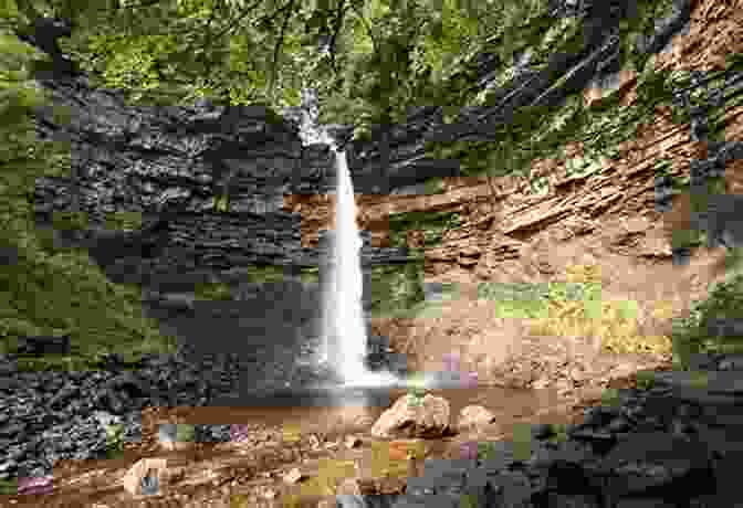 A Secluded Waterfall In Yorkshire Choice Visits In Yorkshire And York A 2024 UK Guide (Choice Guides To Yorkshire 1)