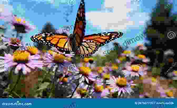 A Vibrant Butterfly Flutters Amidst Blooming Wildflowers. The Patron Saint Of Butterflies