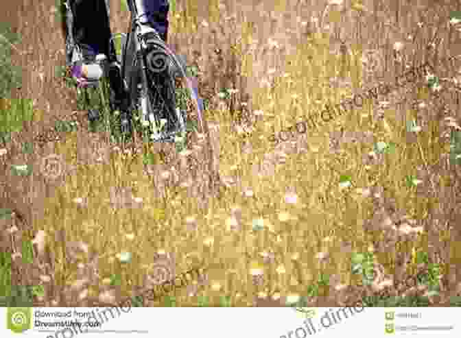 Cyclist Riding Through A Field Of Wildflowers Road Biking Ohio: A Guide To The State S Best Bike Rides (Road Biking Series)