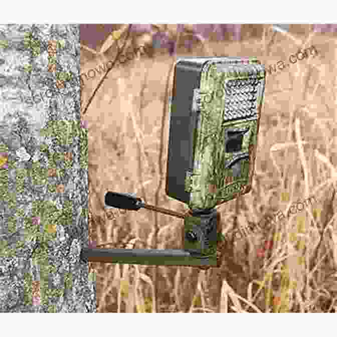 Game Camera Mounted On A Tree, Capturing A Photo Of A Deer Deer Hunting Secrets Exposed Take The Best Buck Of Your Life Whitetail Deer Hunting Books: Bowhunting Deer Rifle Stalking Deer Still Hunting Deer Stands Game Cameras Deer Scent And More