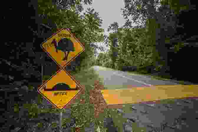 Humorous Sign On The Side Of The Road Terror On The Highway: Rage On America S Roads