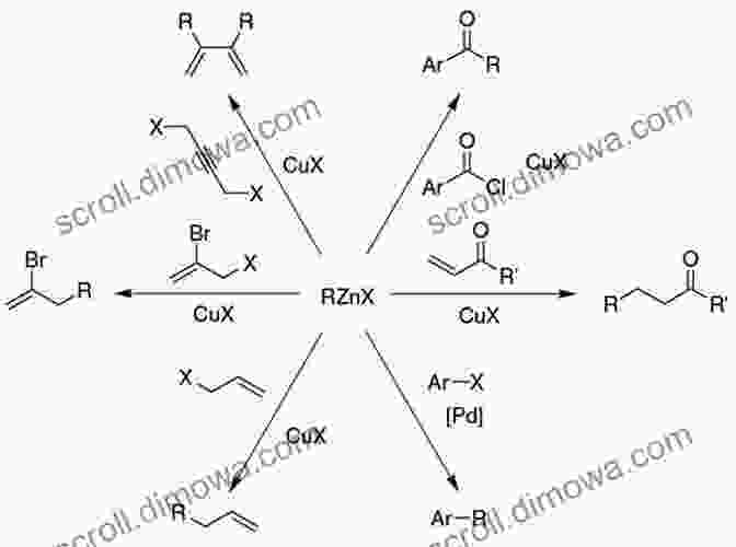 Organozinc Reagent Structure Organozinc Reagents In Organic Synthesis (New Directions In Organic Biological Chemistry 9)