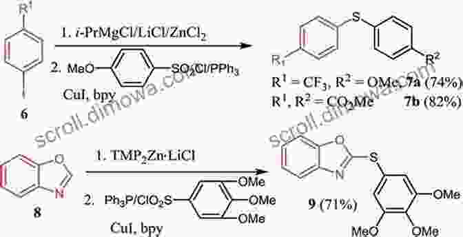 Recent Advancements In Organozinc Reagents Organozinc Reagents In Organic Synthesis (New Directions In Organic Biological Chemistry 9)