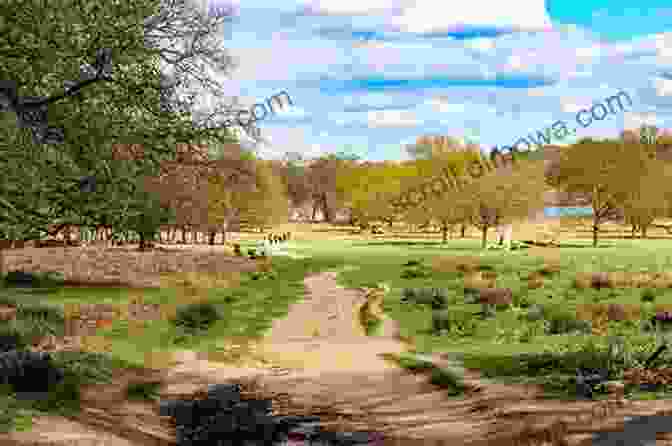 Richmond Park In The Present Day Richmond Park: From Medieval Pasture To Royal Park