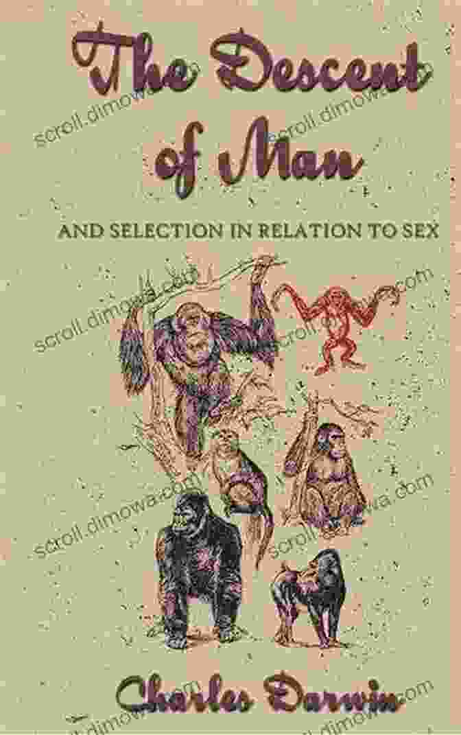 The Descent Of Man, The Concise Edition Book Cover The Descent Of Man: The Concise Edition