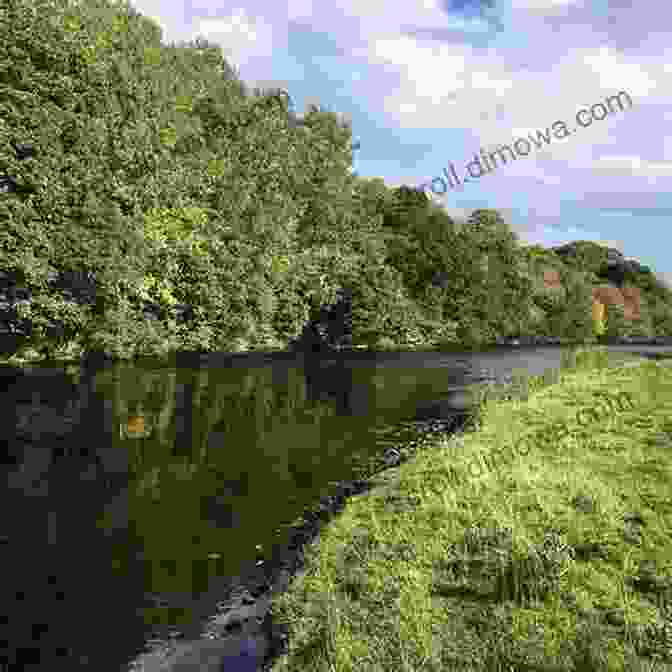 Vast Expanse Of Kielder Water Surrounded By Dense Forests Here Come The Canadians : Traveling In Northeast England