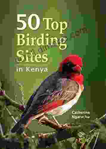 50 Top Birding Sites In Kenya