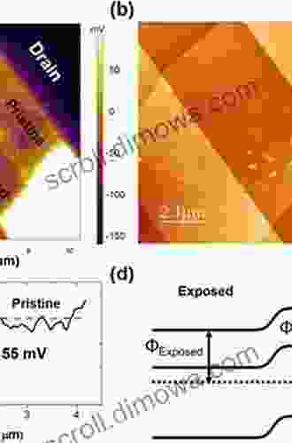 Kelvin Probe Force Microscopy: Measuring And Compensating Electrostatic Forces (Springer In Surface Sciences 48)