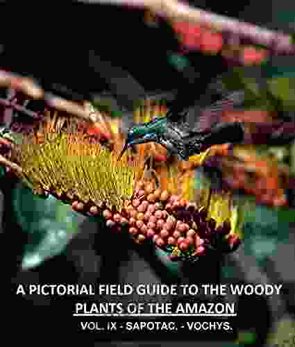 A Pictorial Field Guide To The Woody Plants Of The Amazon VOL IX: SAPOTACEAE VOCHYSIACEAE