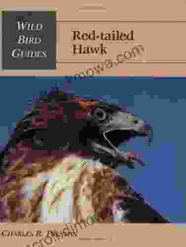 Wild Bird Guide: Red Tailed Hawk (Wild Bird Guides)