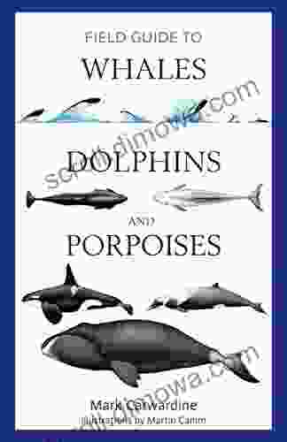 Field Guide To Whales Dolphins And Porpoises (Bloomsbury Naturalist)